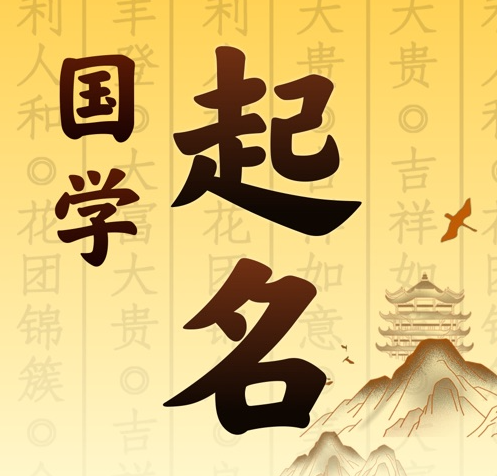 都安国学起名 人工起名一对一